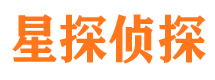 九龙侦探公司